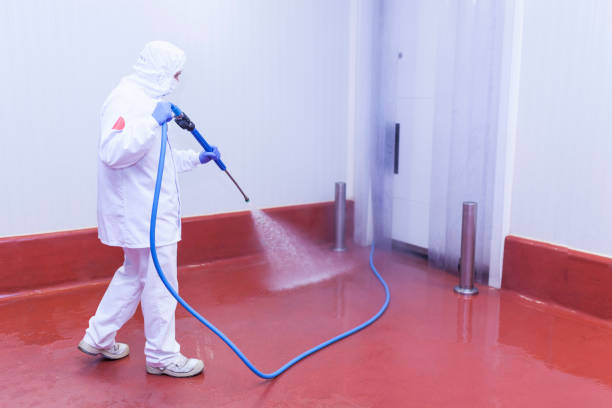 Best Fleet Vehicle Washing  in Fairfield, IL